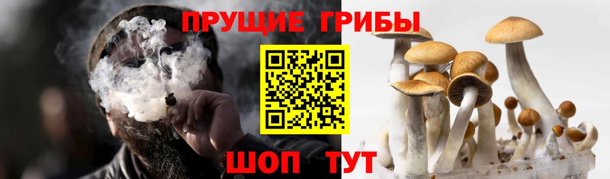 Псилоцибиновые грибы ЛСД  Галлюциногенные грибы мицелий  Вход с VPN  Осинники 